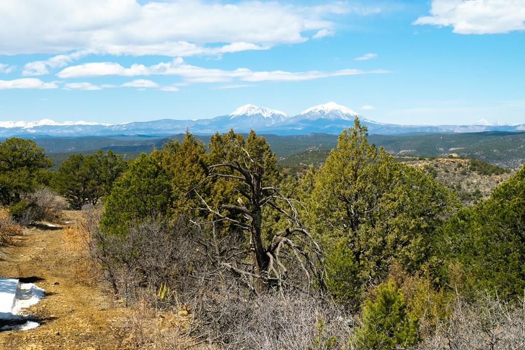 Tbd Turkey Run Trinidad, CO 81082 - Photo 3 of 60