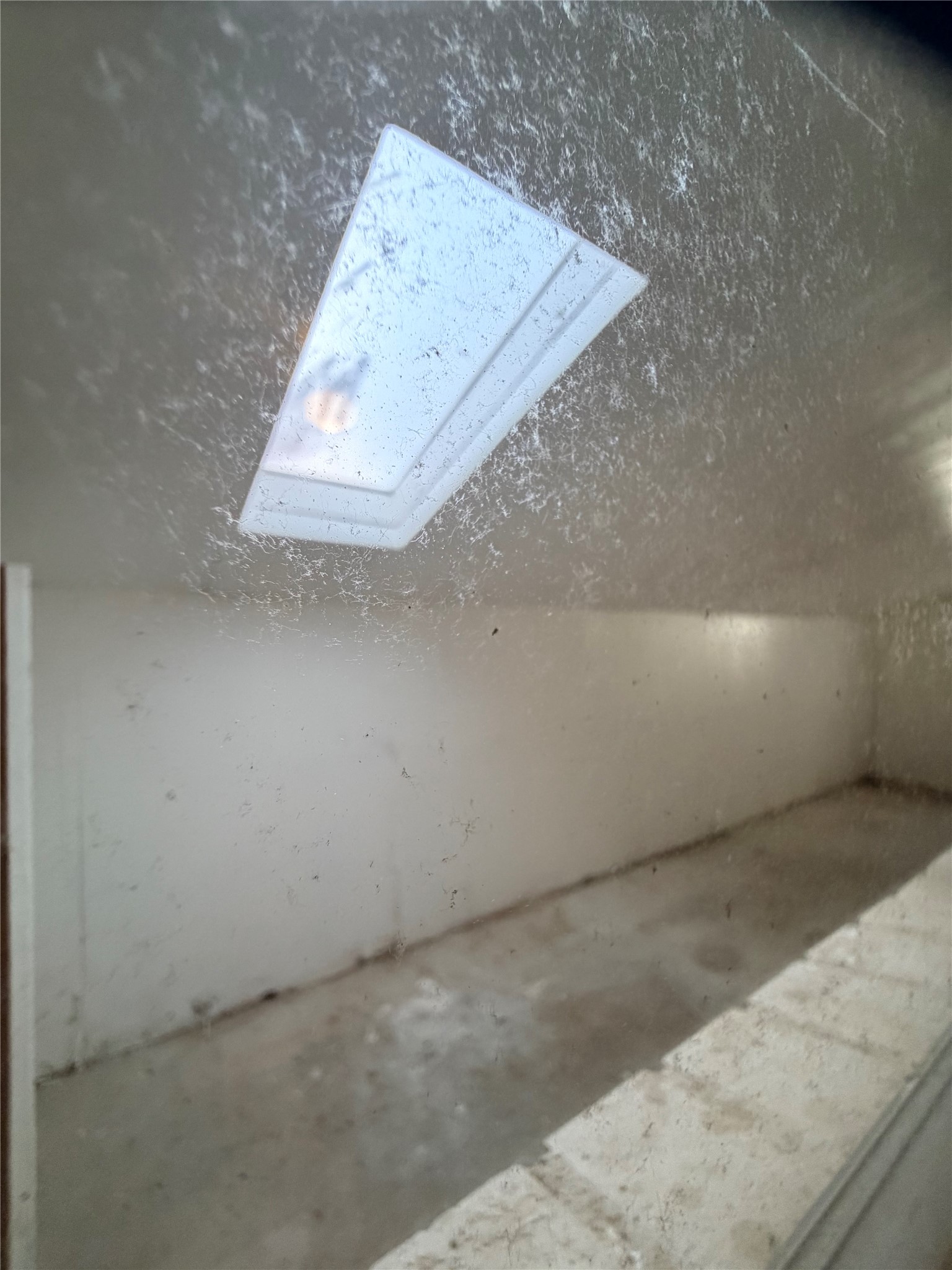 7603 Grape Street Houston, TX 77074 - Photo 21 of 25 Extra Space in the back of the house