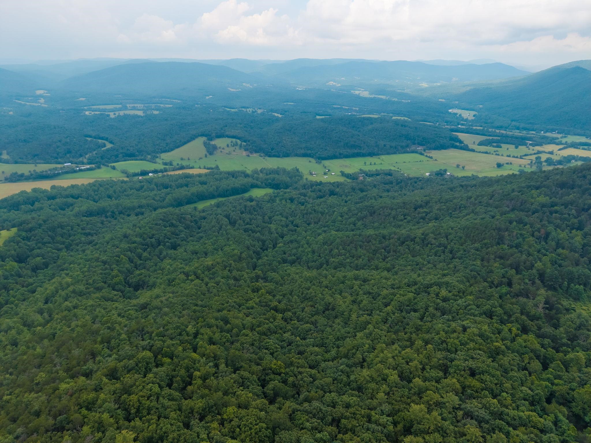 Tbd Criders Road Bergton, VA 22811 - Photo 20 of 22