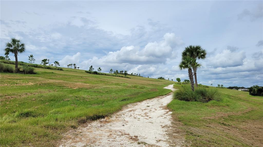 5419 Summit Glen Bradenton, FL 34203 - Photo 37 of 38 a view of a garden with a house