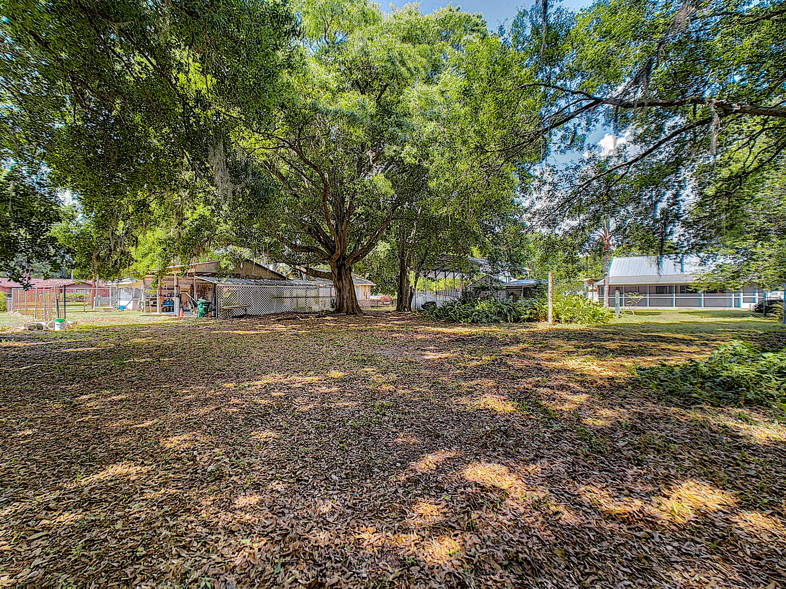 3165 Ricard Street Mims, FL 32754 - Photo 37 of 51 Large Shady Backyard