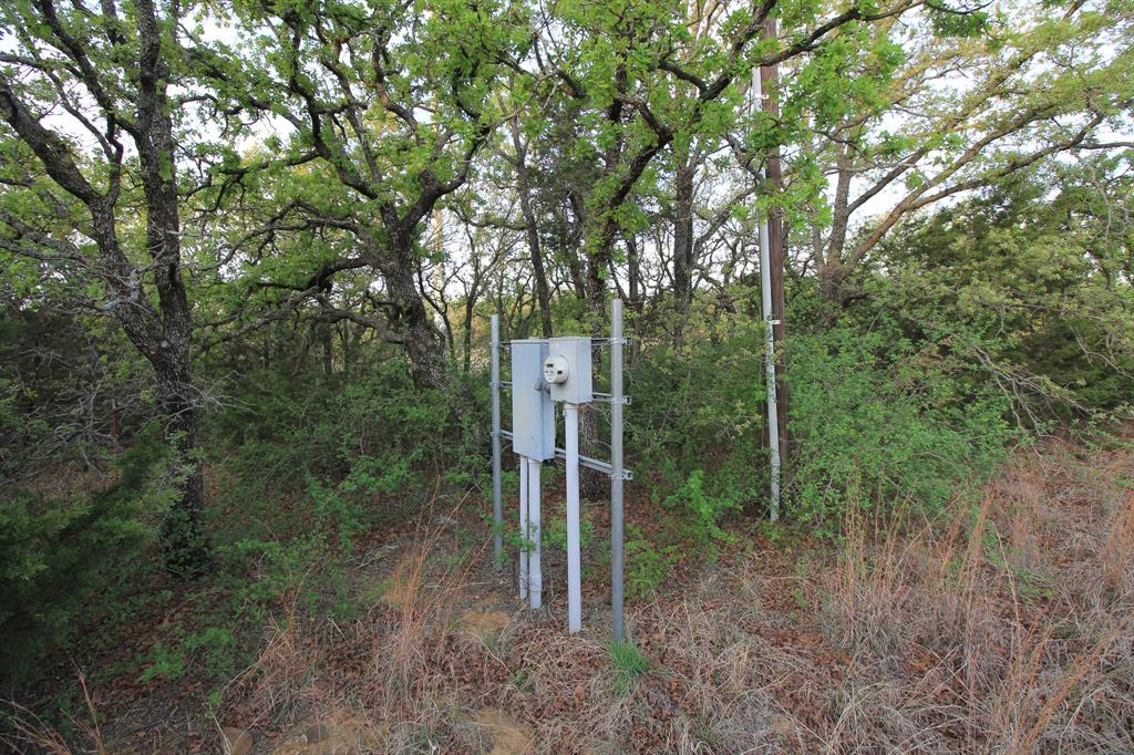 3257 Finis Road Graham, TX 76450 - Photo 16 of 40 a backyard of a house with lots of plants and large trees