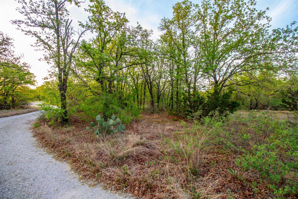 3257 Finis Road Graham, TX 76450 - Photo 17 of 40 a big yard with lots of green space