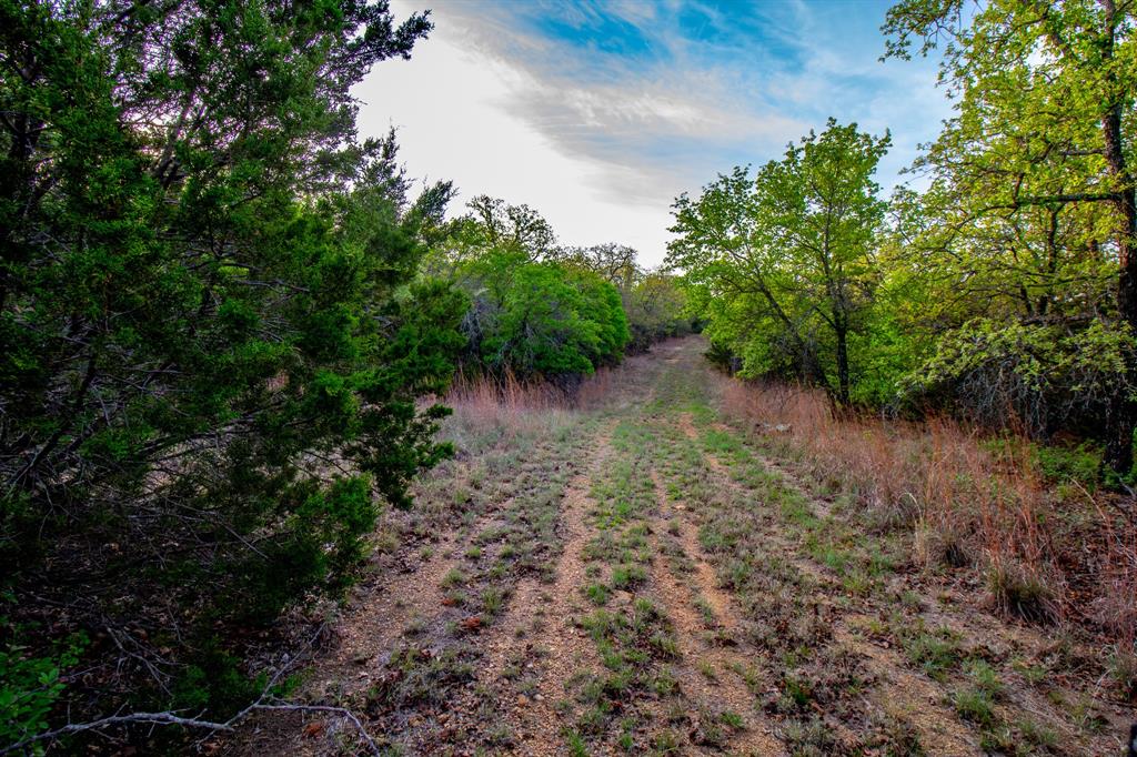 3257 Finis Road Graham, TX 76450 - Photo 21 of 40 a view of a forest with lots of trees