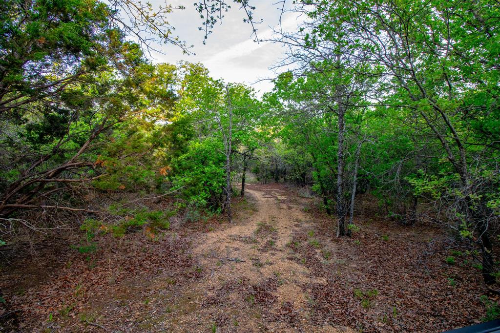 3257 Finis Road Graham, TX 76450 - Photo 22 of 40 a view of a forest with trees in the background
