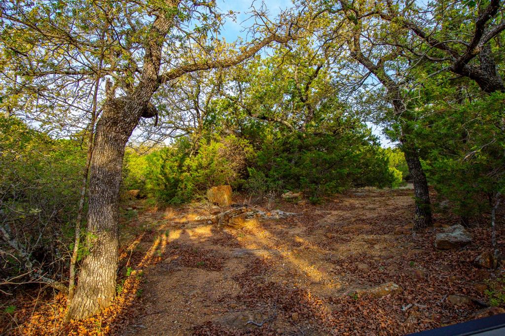 3257 Finis Road Graham, TX 76450 - Photo 23 of 40 a view of a yard with a tree