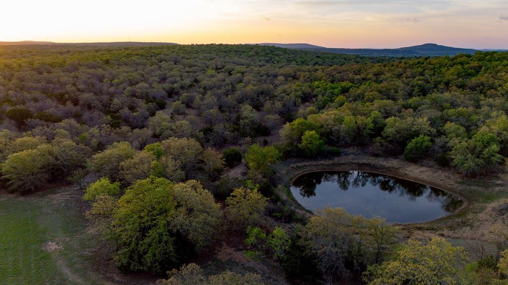 3257 Finis Road Graham, TX 76450 - Photo 3 of 40 a view of a forest with a street