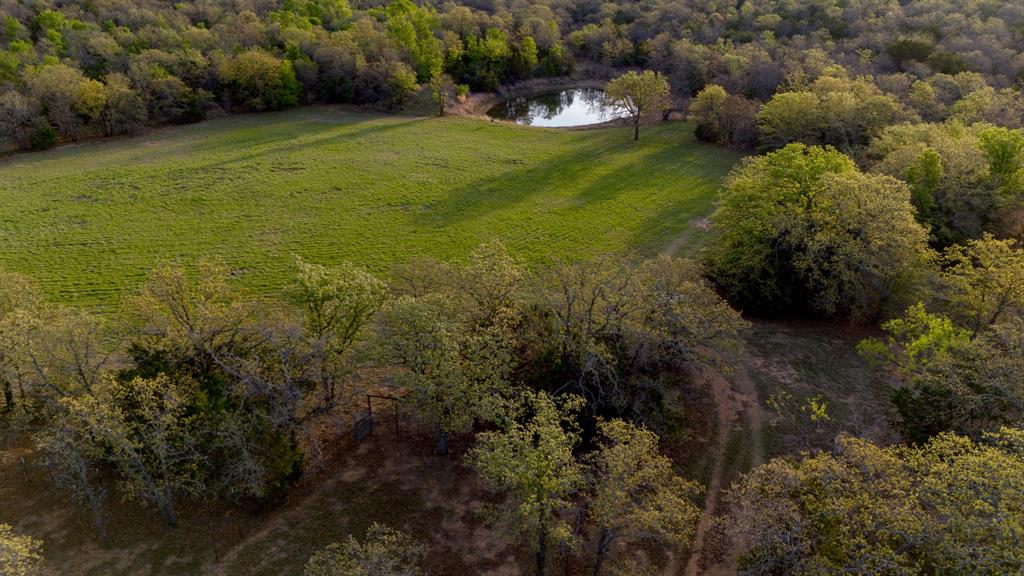3257 Finis Road Graham, TX 76450 - Photo 8 of 40 a view of a green yard