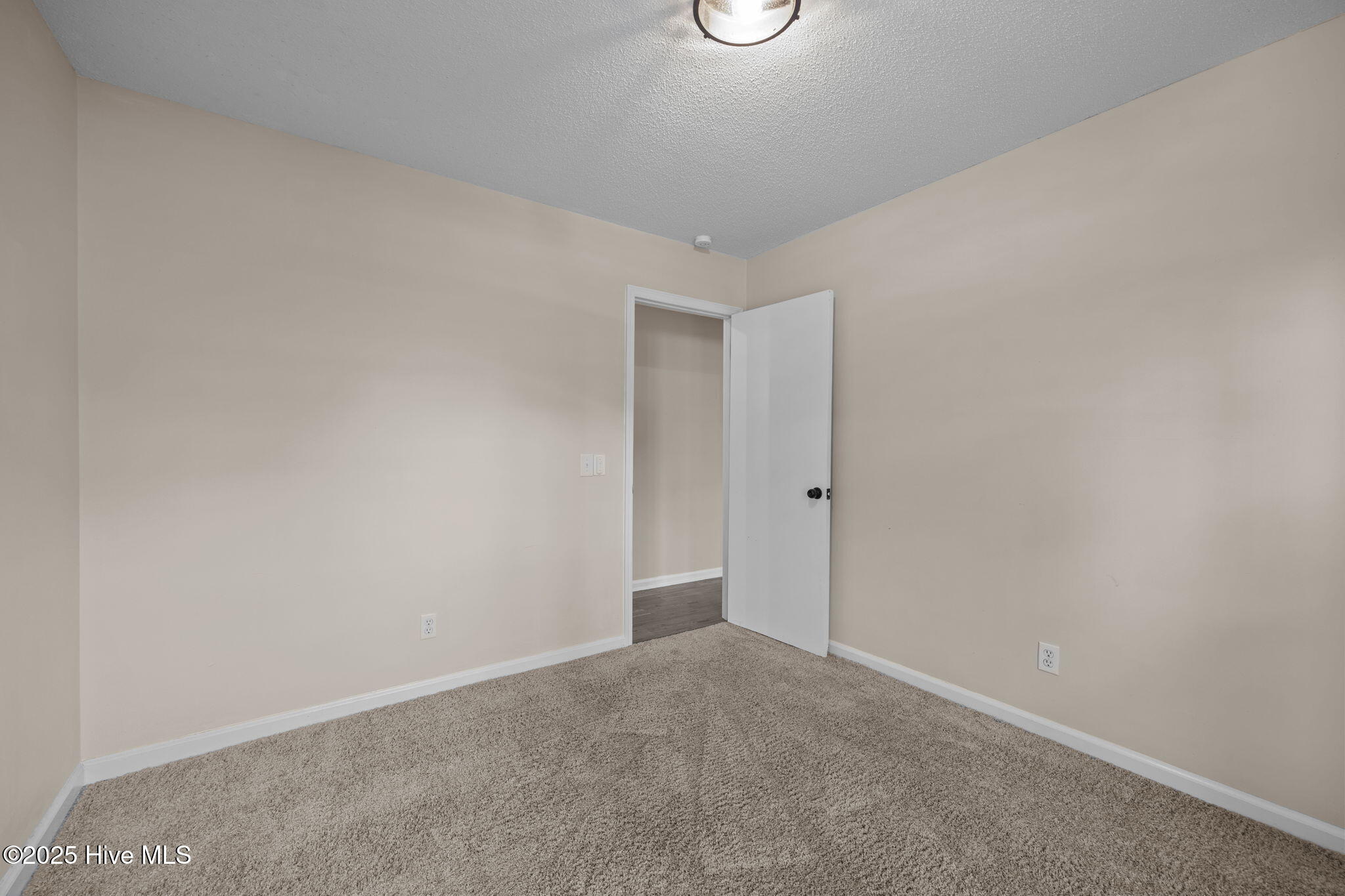 4814 Greenpine Road Farmville, NC 27828 - Photo 45 of 52 43-web-or-mls-IMG_4963