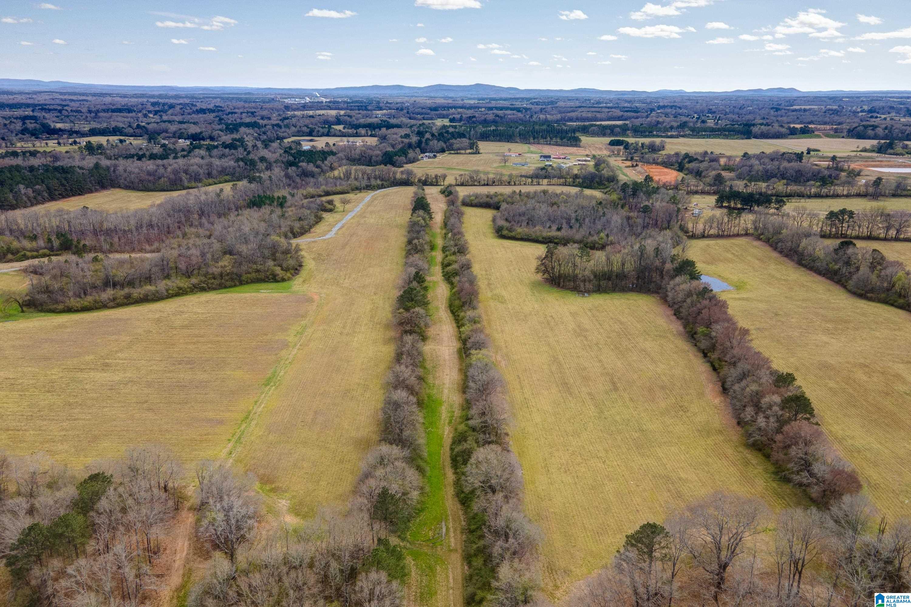 Bates Road, Unit 100 Vincent, AL 35178 - Photo 8 of 29