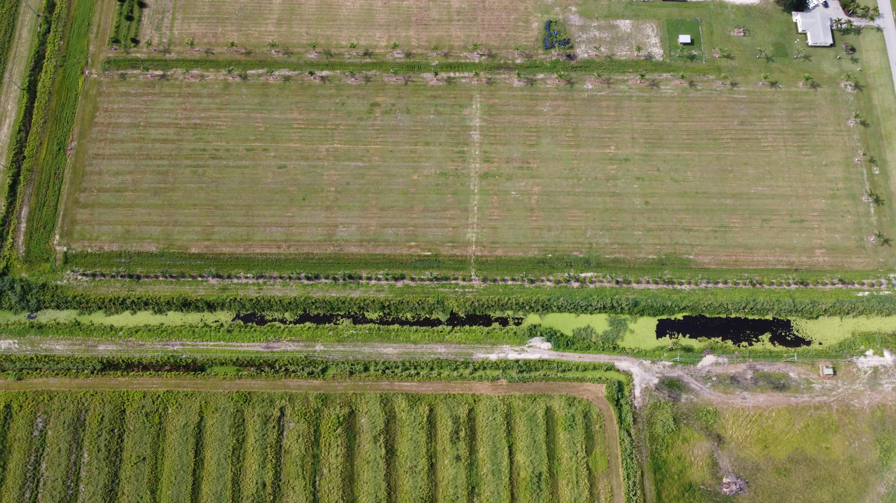 4921 South Header Canal Road Fort Pierce, FL 34945 - Photo 4 of 5 DJI_0096