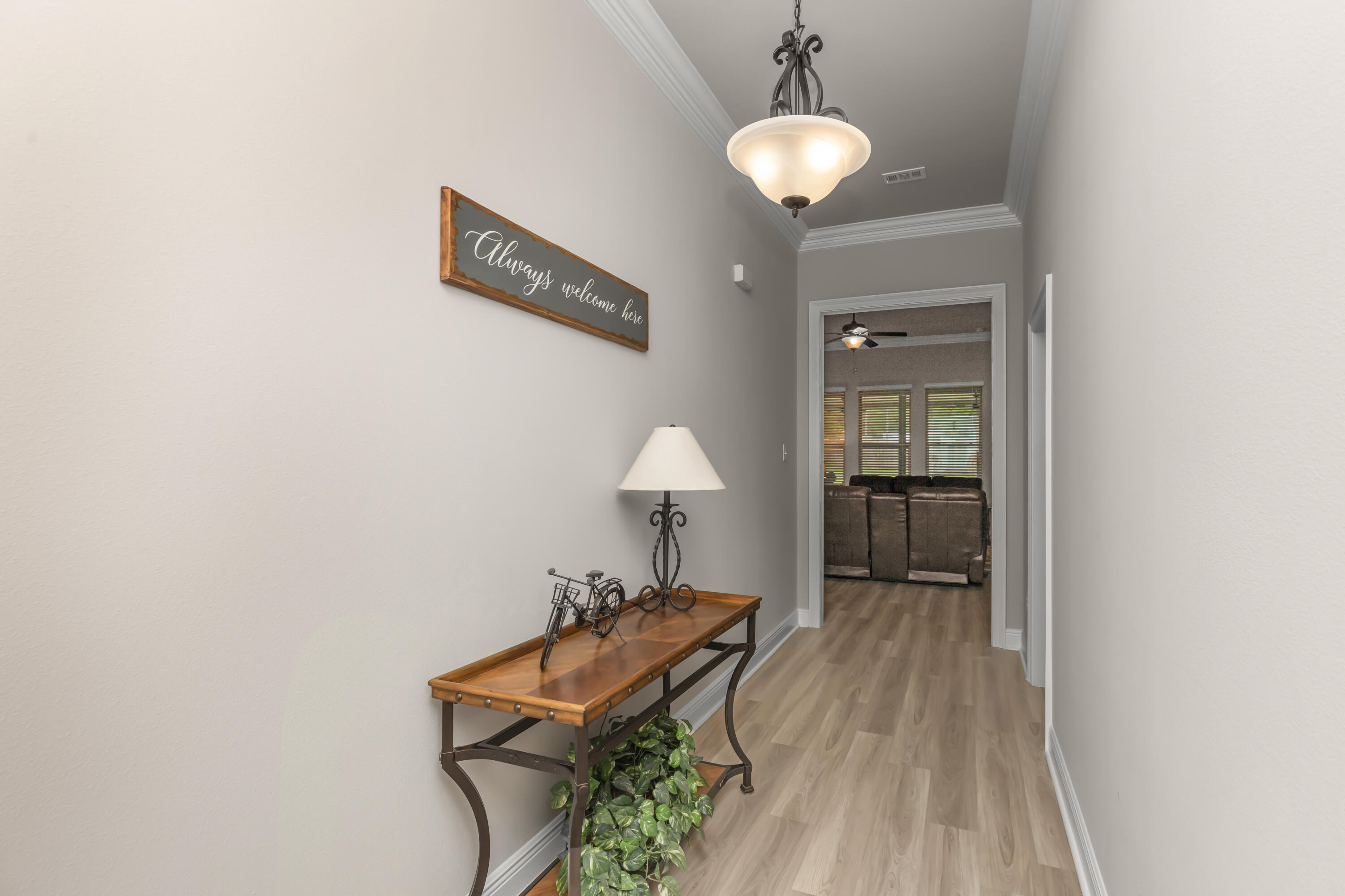 4729 Sago Palm Circle Pace, FL 32571 - Photo 3 of 29