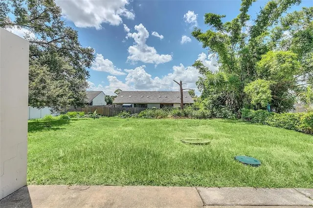 a view of a garden with plants and large trees