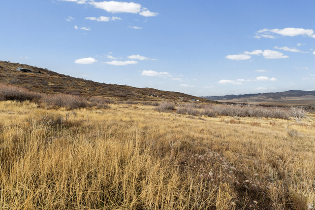 349 West Mountain View Road, Unit 349 Fairview, UT 84629 - Photo 16 of 26 Expansive land parcel featuring natural golden grasses and varied scrub brush