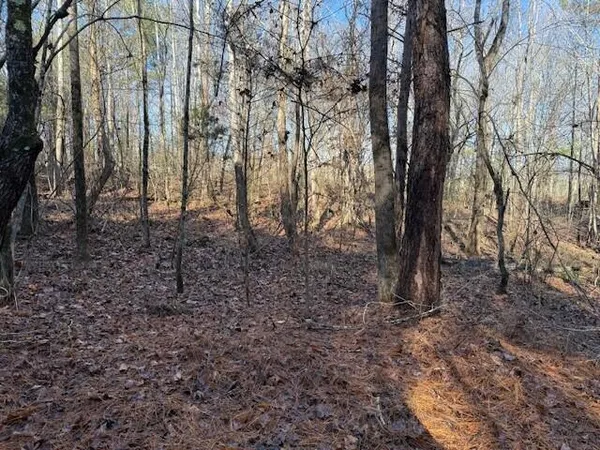 $59,000 | Lot 8 County Road 751, Unit LOT 8, Valley Head, AL 35989
