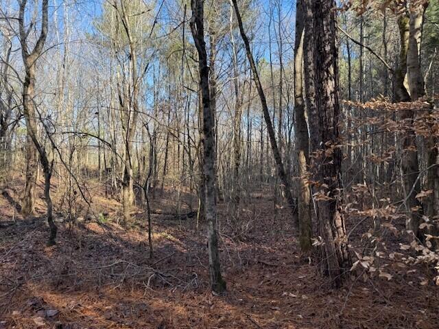 Lot 8 County Road 751, Unit LOT 8 Valley Head, AL 35989 - Photo 3 of 7 3