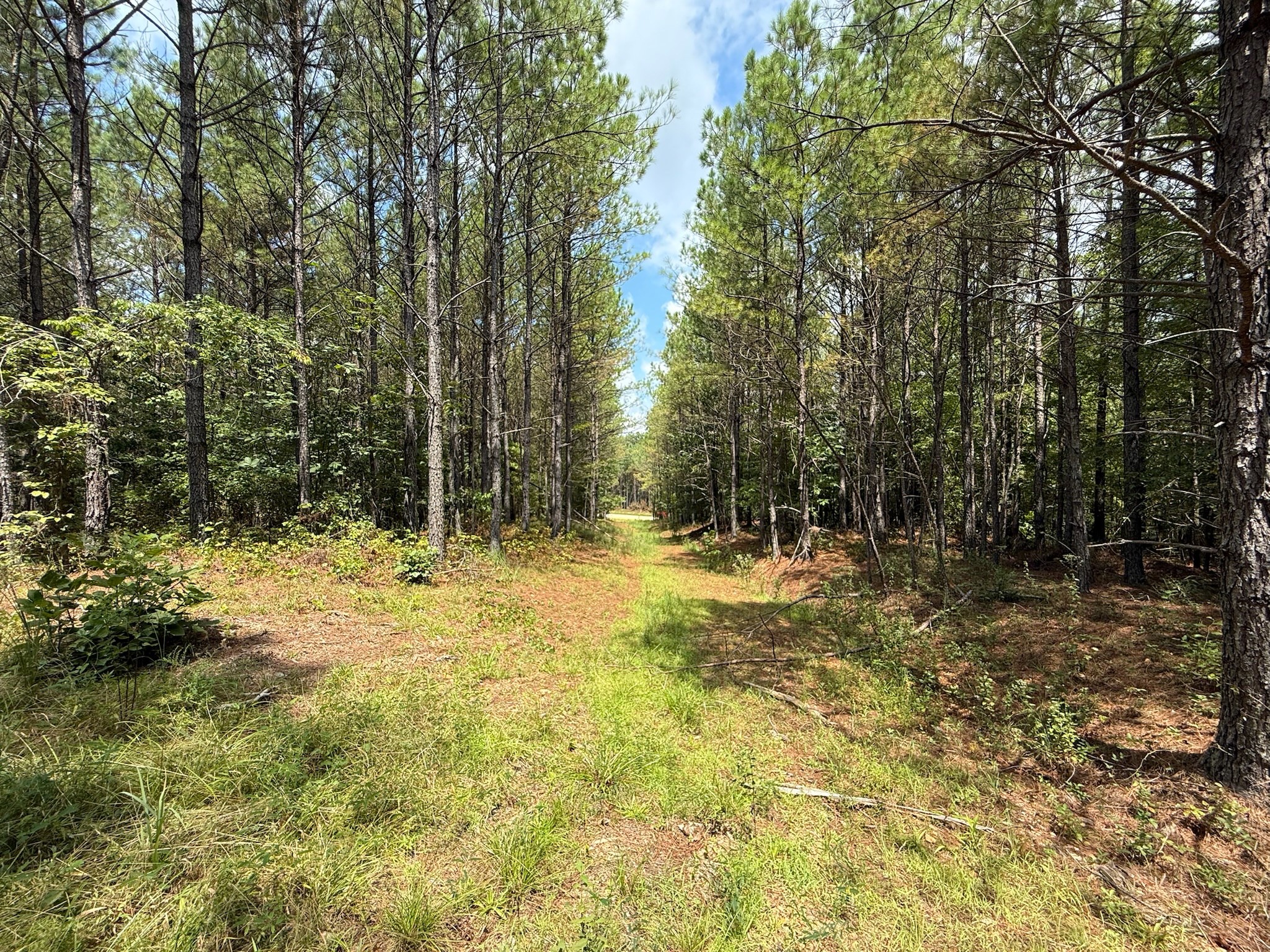 468 Seiber Ridge Road Hohenwald, TN 38462 - Photo 18 of 25