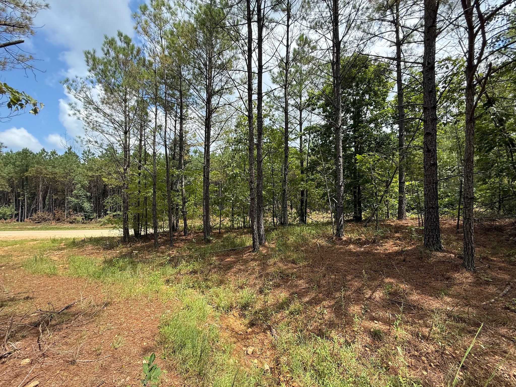 468 Seiber Ridge Road Hohenwald, TN 38462 - Photo 19 of 25