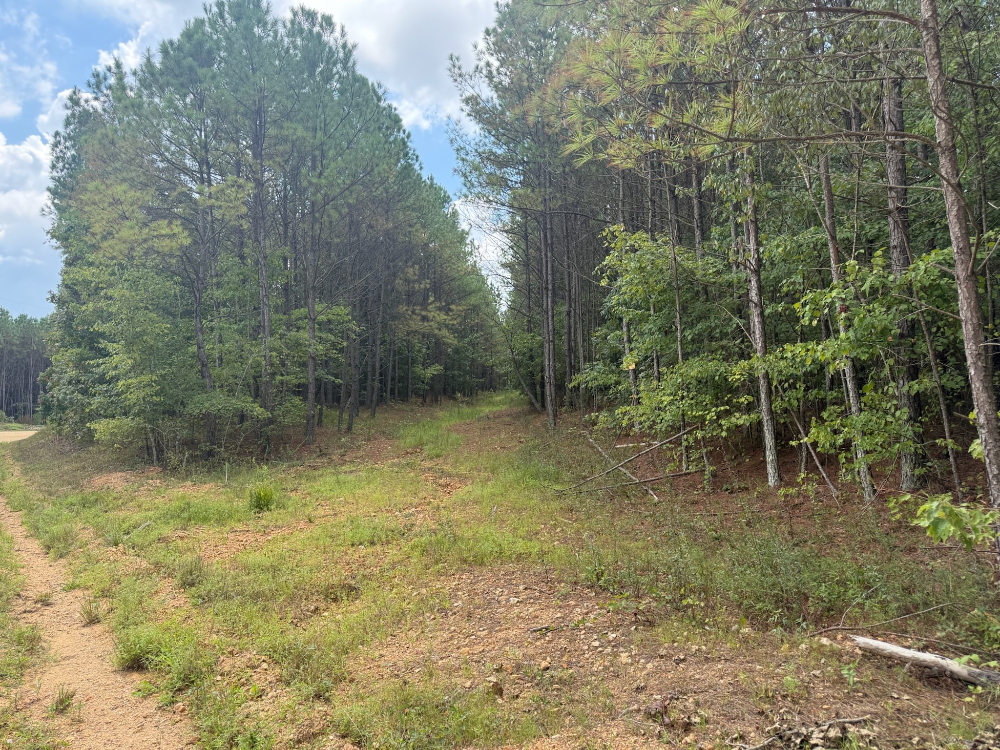 468 Seiber Ridge Road Hohenwald, TN 38462 - Photo 20 of 25