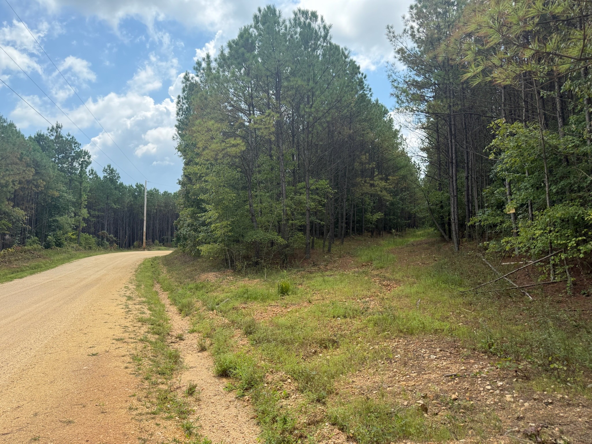 468 Seiber Ridge Road Hohenwald, TN 38462 - Photo 21 of 25