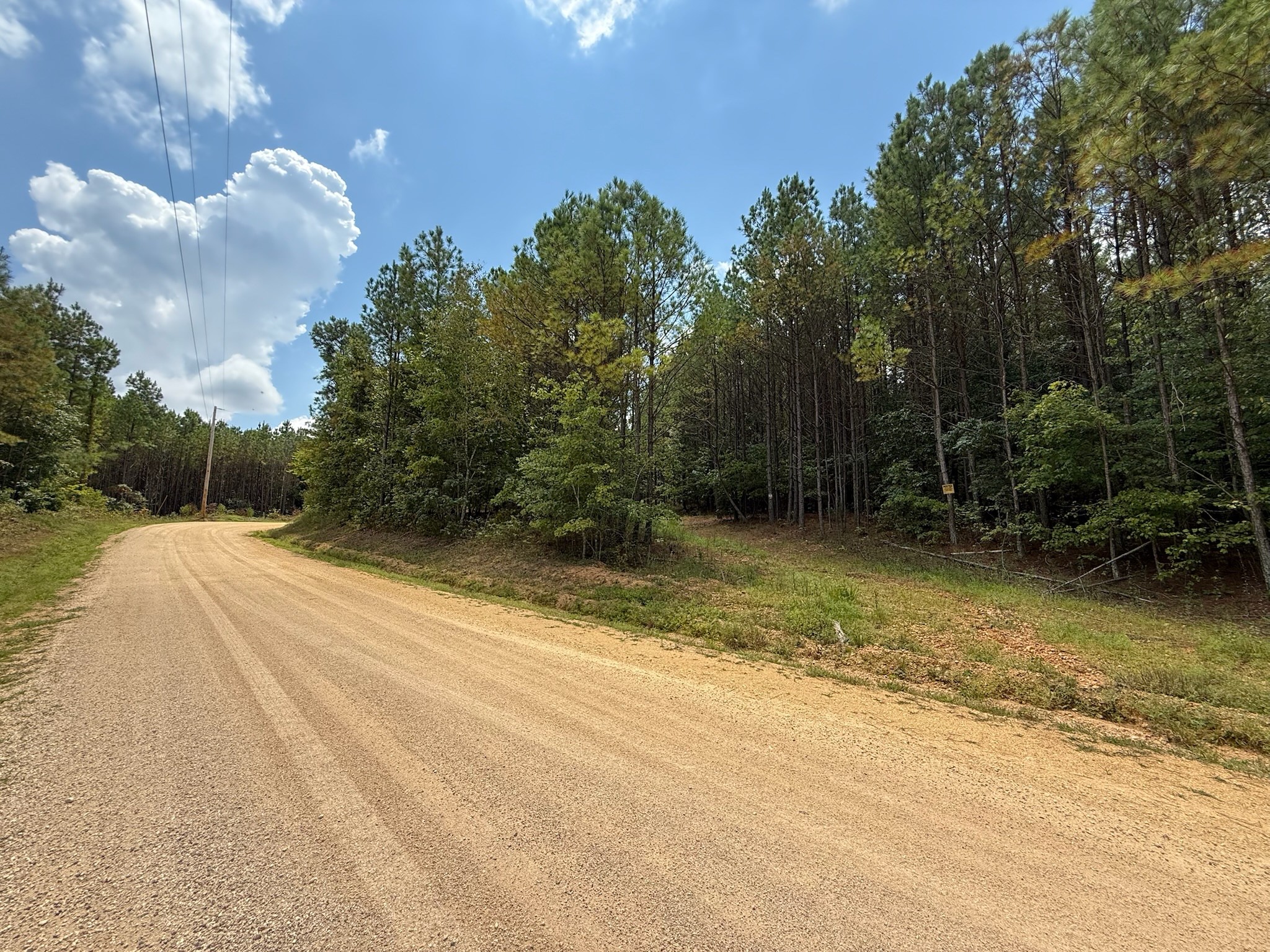 468 Seiber Ridge Road Hohenwald, TN 38462 - Photo 22 of 25