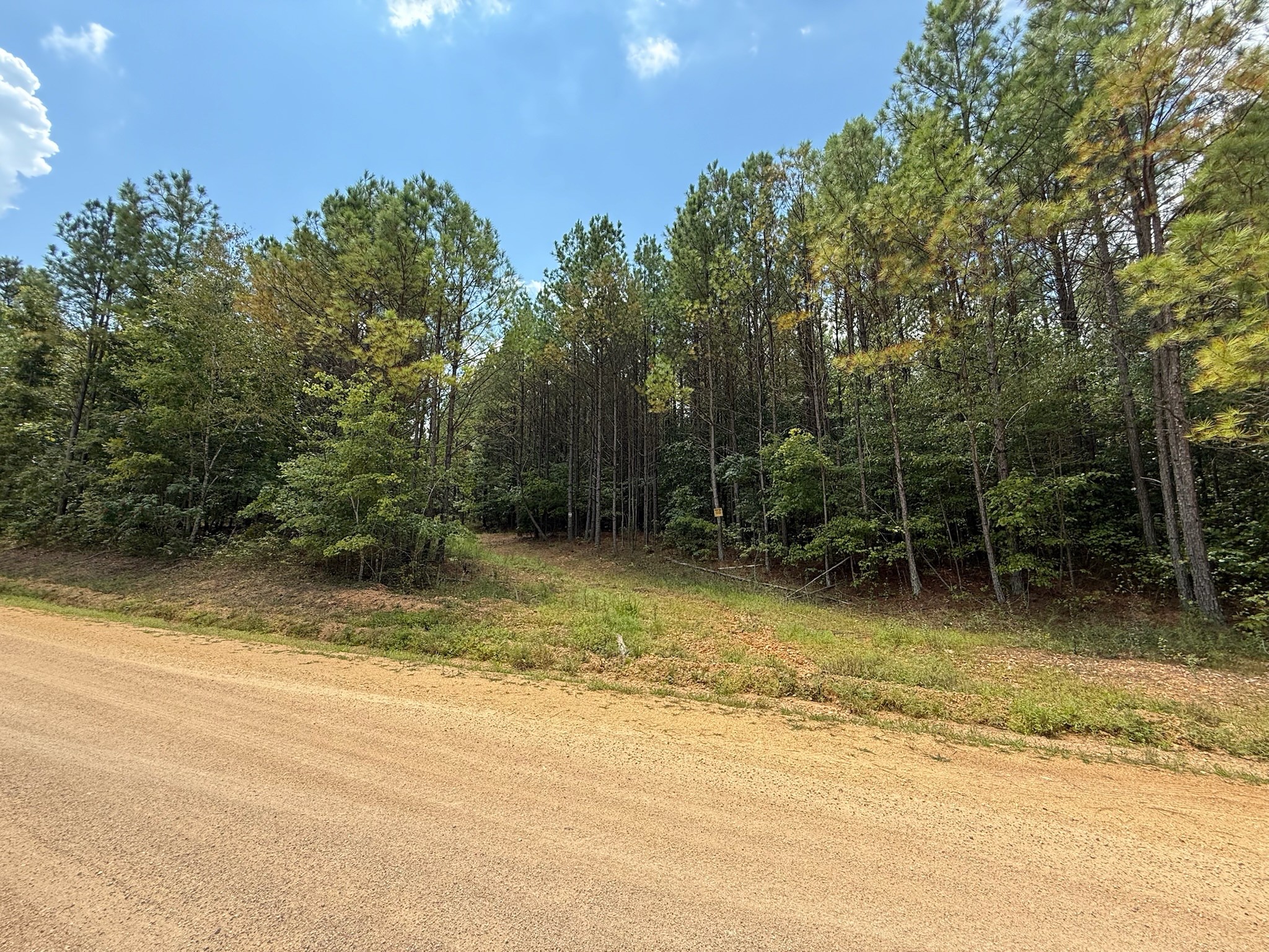 468 Seiber Ridge Road Hohenwald, TN 38462 - Photo 23 of 25