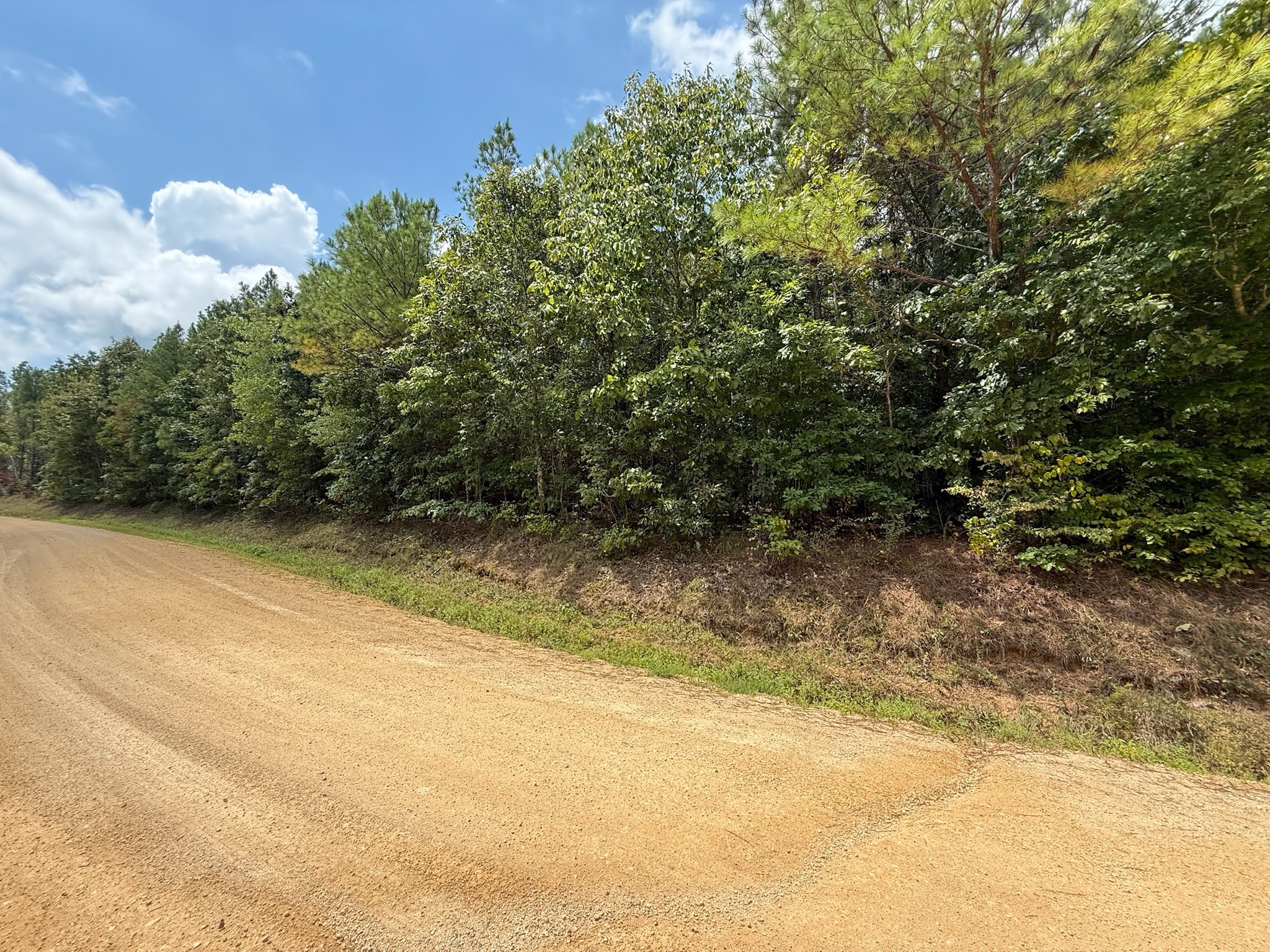 468 Seiber Ridge Road Hohenwald, TN 38462 - Photo 24 of 25