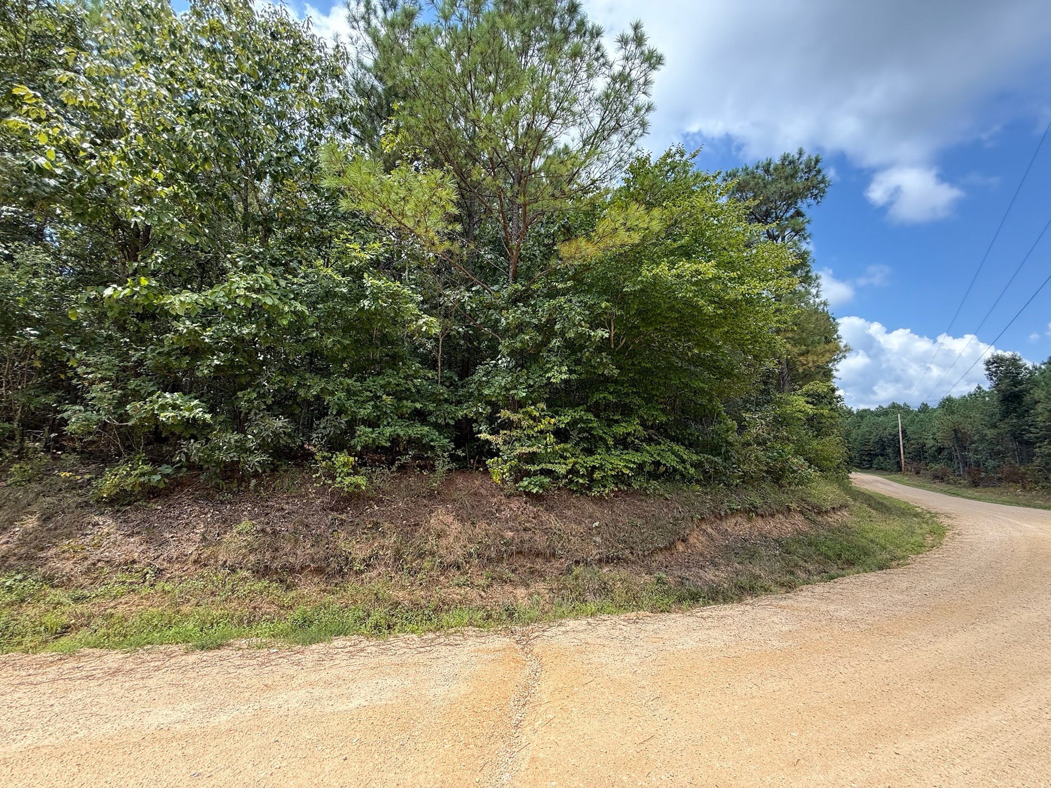 468 Seiber Ridge Road Hohenwald, TN 38462 - Photo 25 of 25