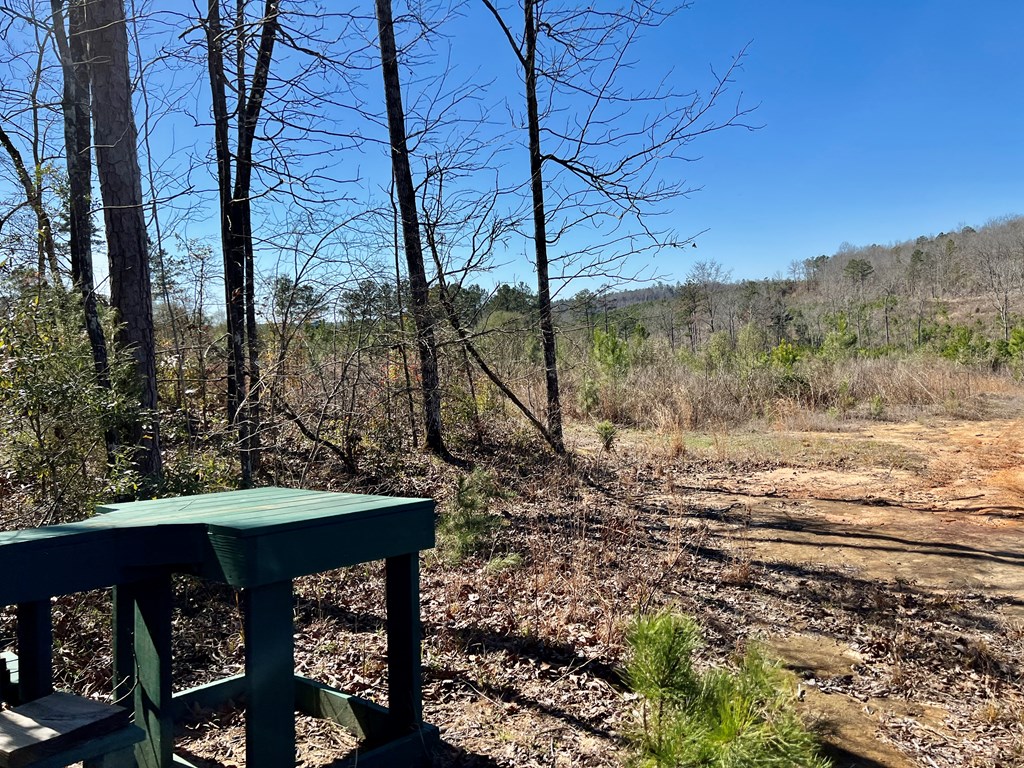 0 County Road 97 Abbeville, AL 36310 - Photo 24 of 53