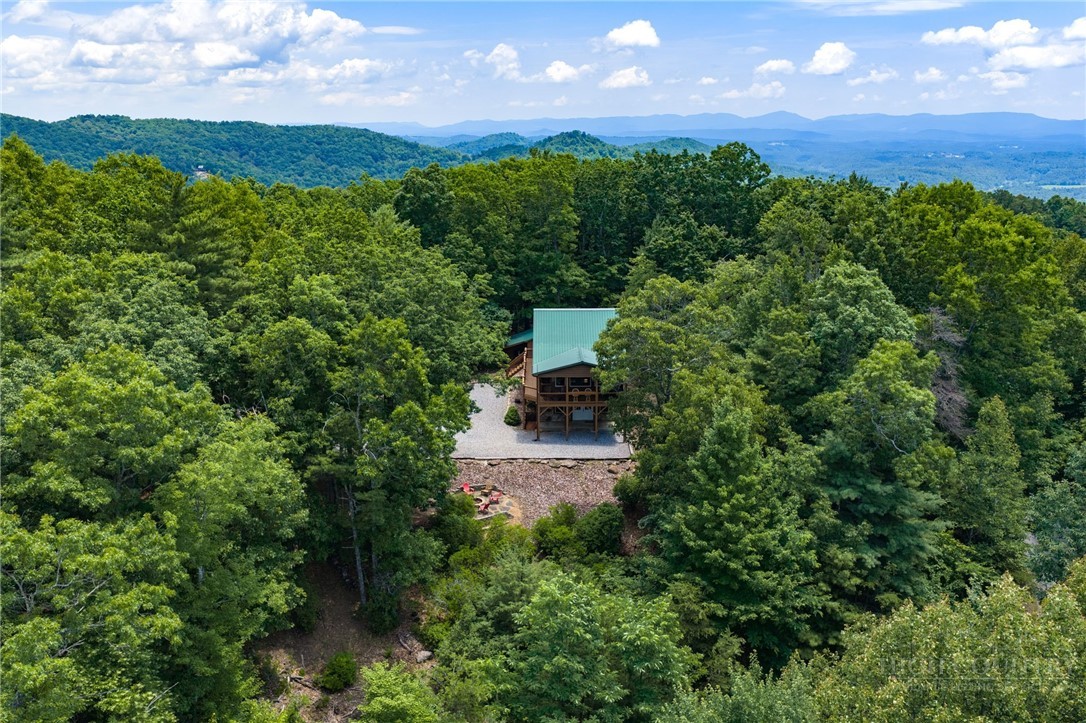 1987 Buck Mountain Road Purlear, NC 28665 - Photo 37 of 50