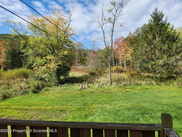 a view of a back yard