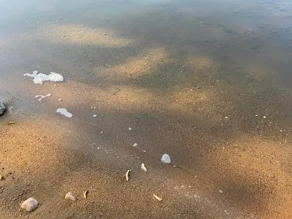 $589,000 | 42322 240th Street, Battle Lake, MN 56515