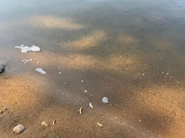 $589,000 | 42322 240th Street, Battle Lake, MN 56515