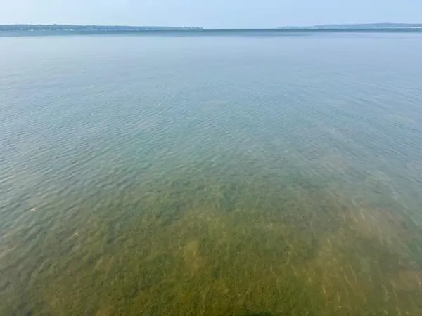 $589,000 | 42322 240th Street, Battle Lake, MN 56515