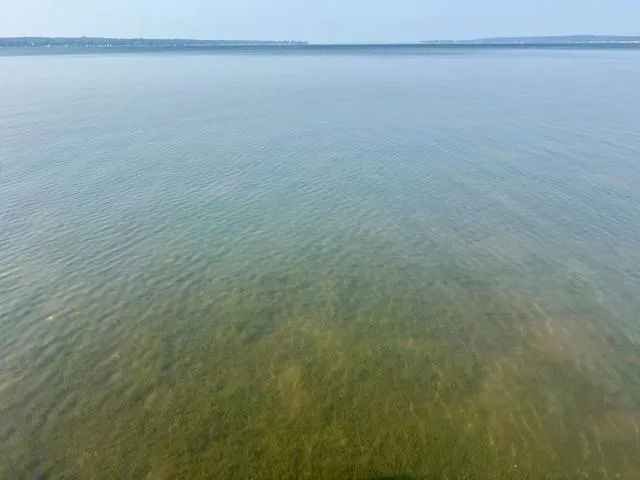 $589,000 | 42322 240th Street, Battle Lake, MN 56515