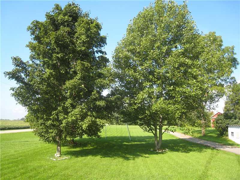 6434 West County Line Road Knightstown, IN 46148 - Photo 4 of 18 Gallery Image 4