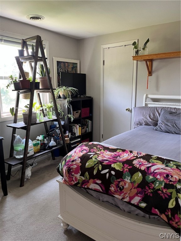 5722 Stonykill Drive Manlius, NY 13057 - Photo 10 of 13