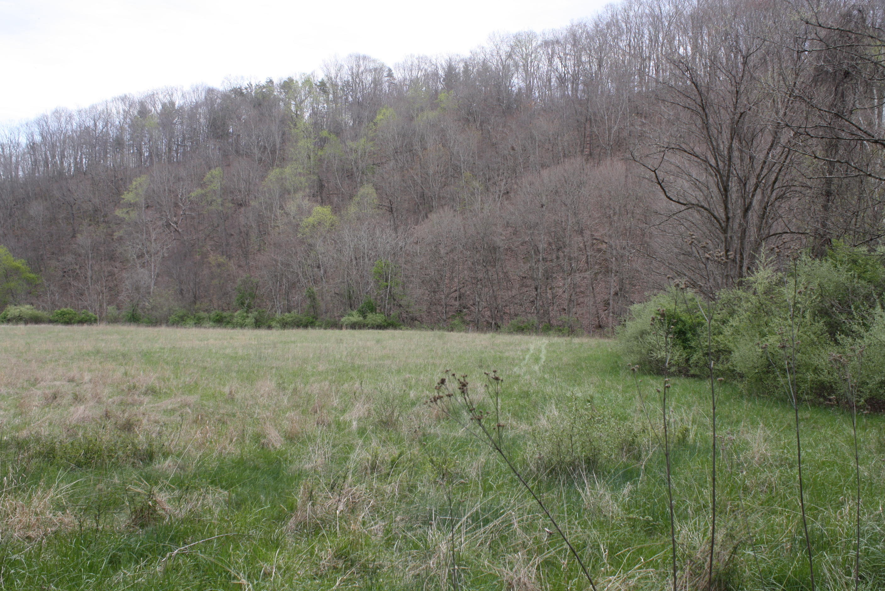 722 East Woodrumtown Road Hinton, WV 25951 - Photo 104 of 145 Gallery Image 104