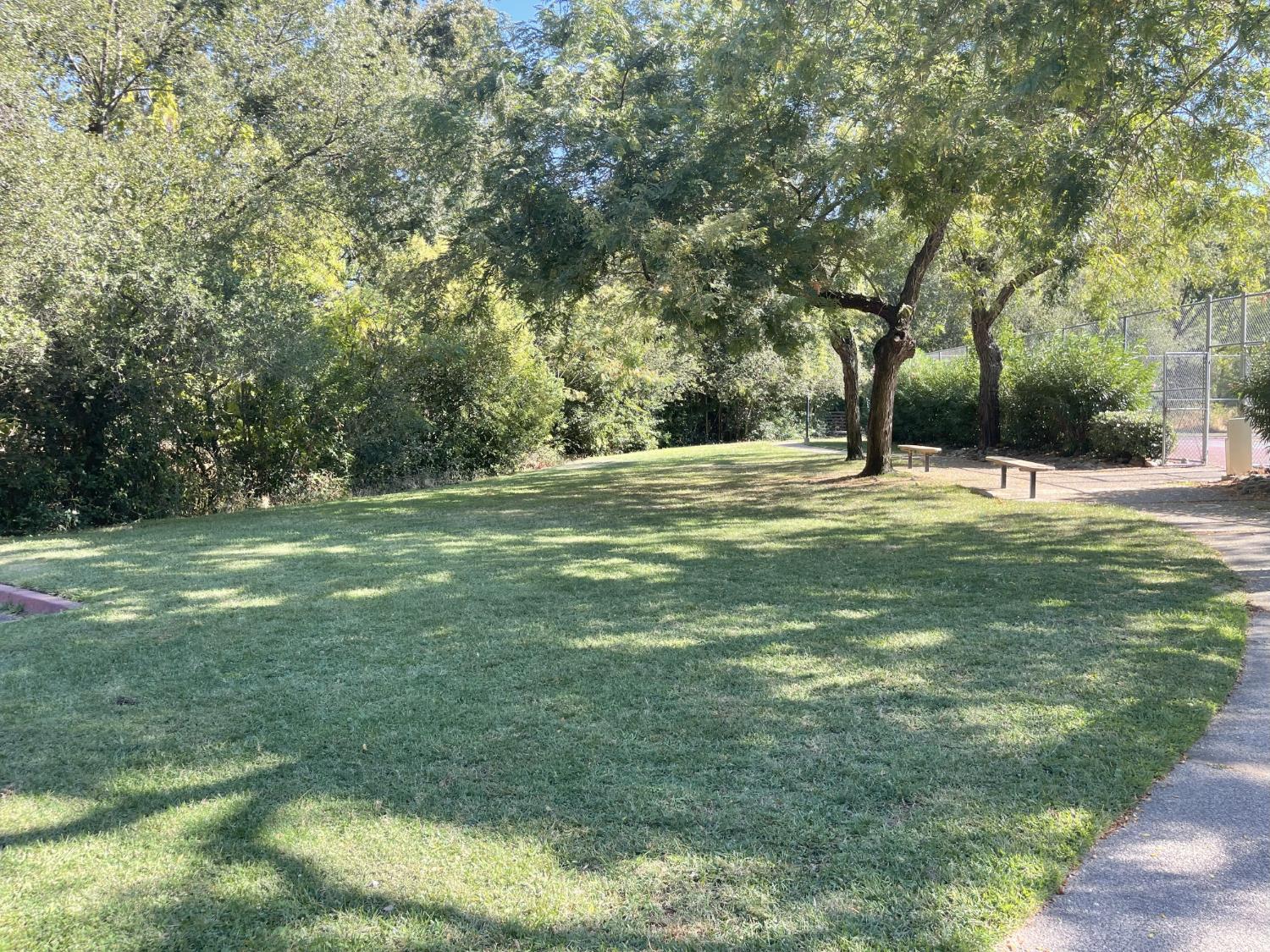 9160 Madison Avenue, Unit 57 Fair Oaks, CA 95628 - Photo 29 of 40 a backyard of a house with lots of green space