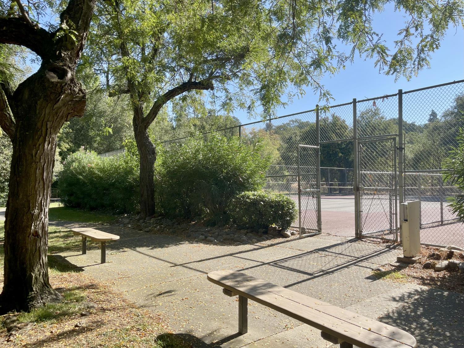 9160 Madison Avenue, Unit 57 Fair Oaks, CA 95628 - Photo 32 of 40 a view of backyard with green space