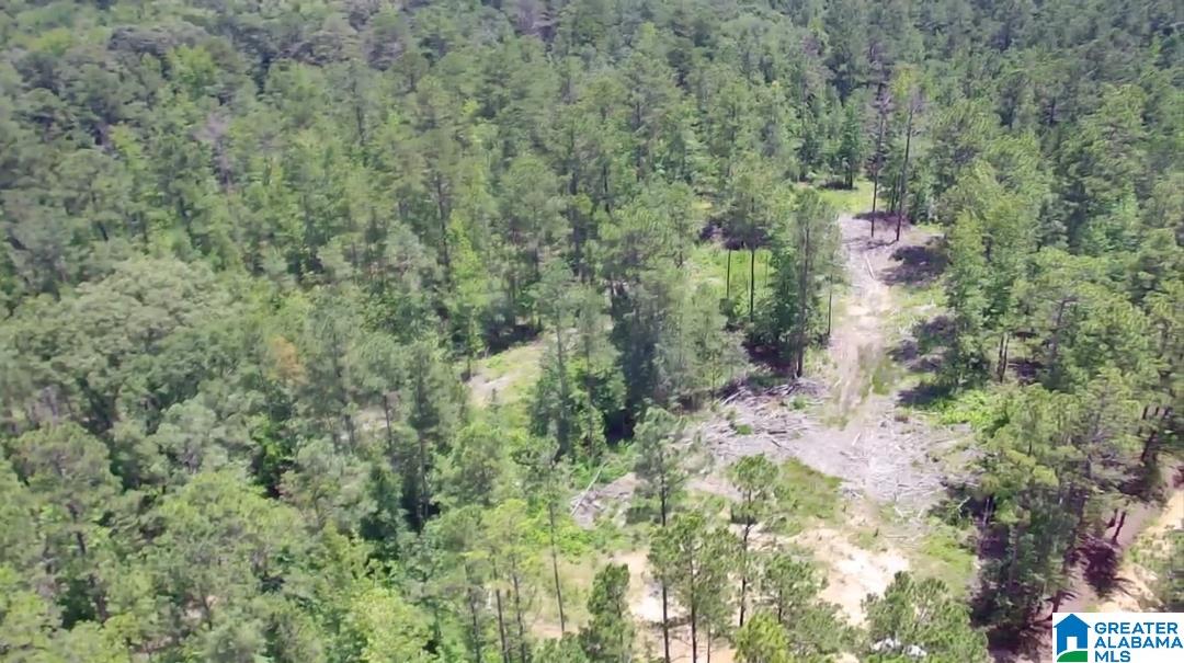 0 Fleming Road Vincent, AL 35178 - Photo 2 of 6 Gallery Image 2