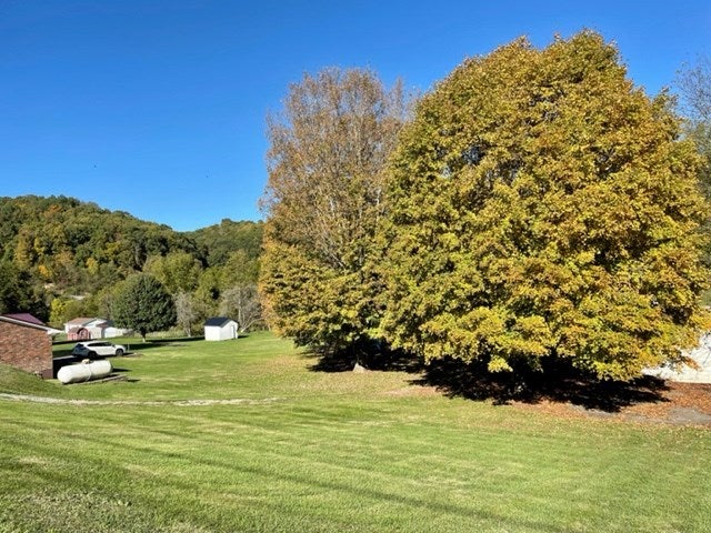 227 Bailey Road Cedar Bluff, VA 24609 - Photo 10 of 32 Gallery Image 10