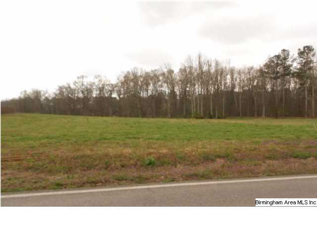 280 Limestone Road West Hazel Green, AL 35750 - Photo 1 of 1