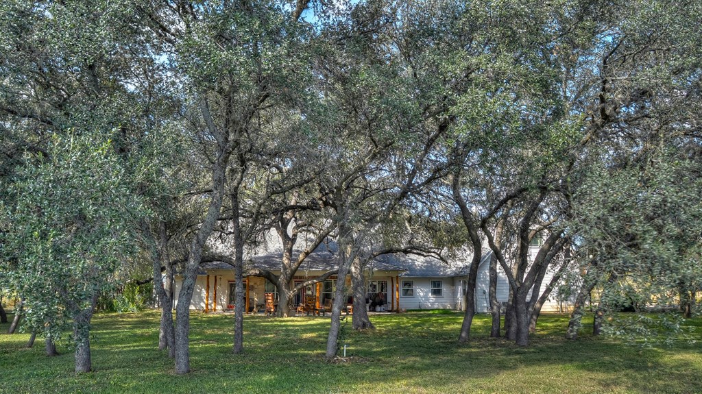4573 Ranch Road 1120 Rio Frio, TX 78879 - Photo 12 of 71 Rear view