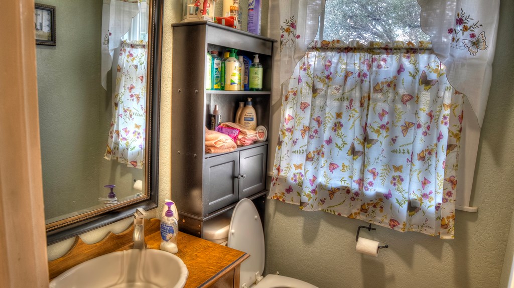 4573 Ranch Road 1120 Rio Frio, TX 78879 - Photo 34 of 71 a bathroom with a sink toilet and shower curtain