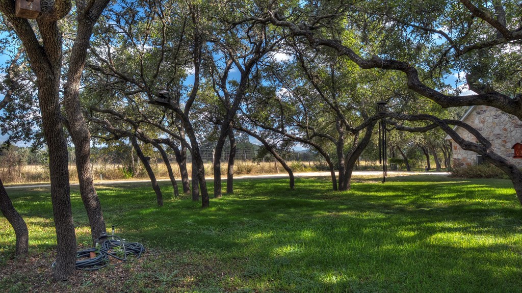 4573 Ranch Road 1120 Rio Frio, TX 78879 - Photo 51 of 71 a big yard with trees