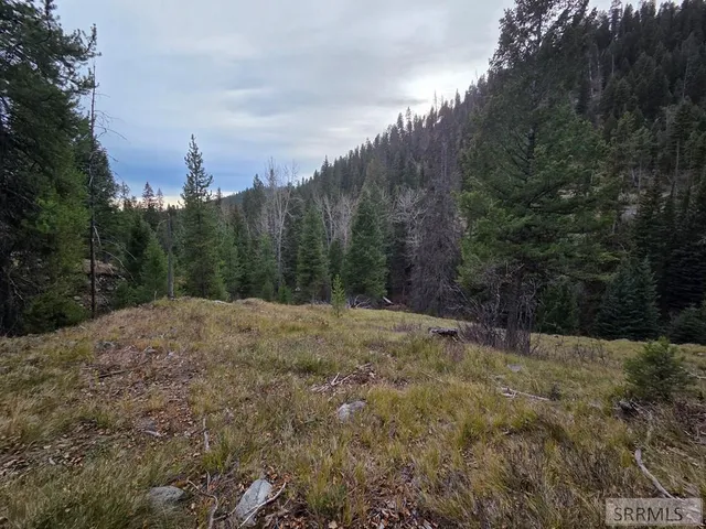 $84,180 | Lot 18 Kokopelli Drive, Gibbsonville, ID 83463