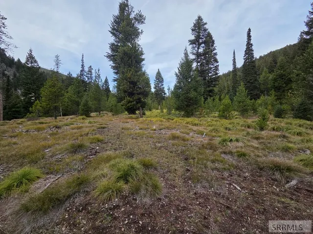 $84,180 | Lot 18 Kokopelli Drive, Gibbsonville, ID 83463