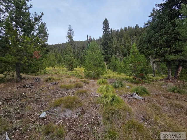$84,180 | Lot 18 Kokopelli Drive, Gibbsonville, ID 83463