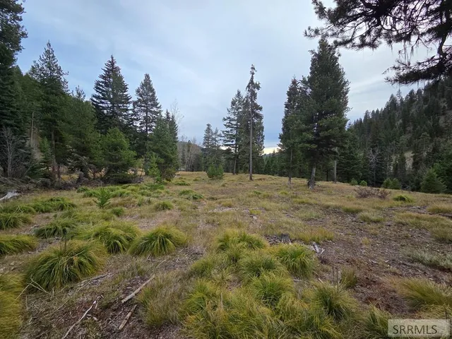 $84,180 | Lot 18 Kokopelli Drive, Gibbsonville, ID 83463